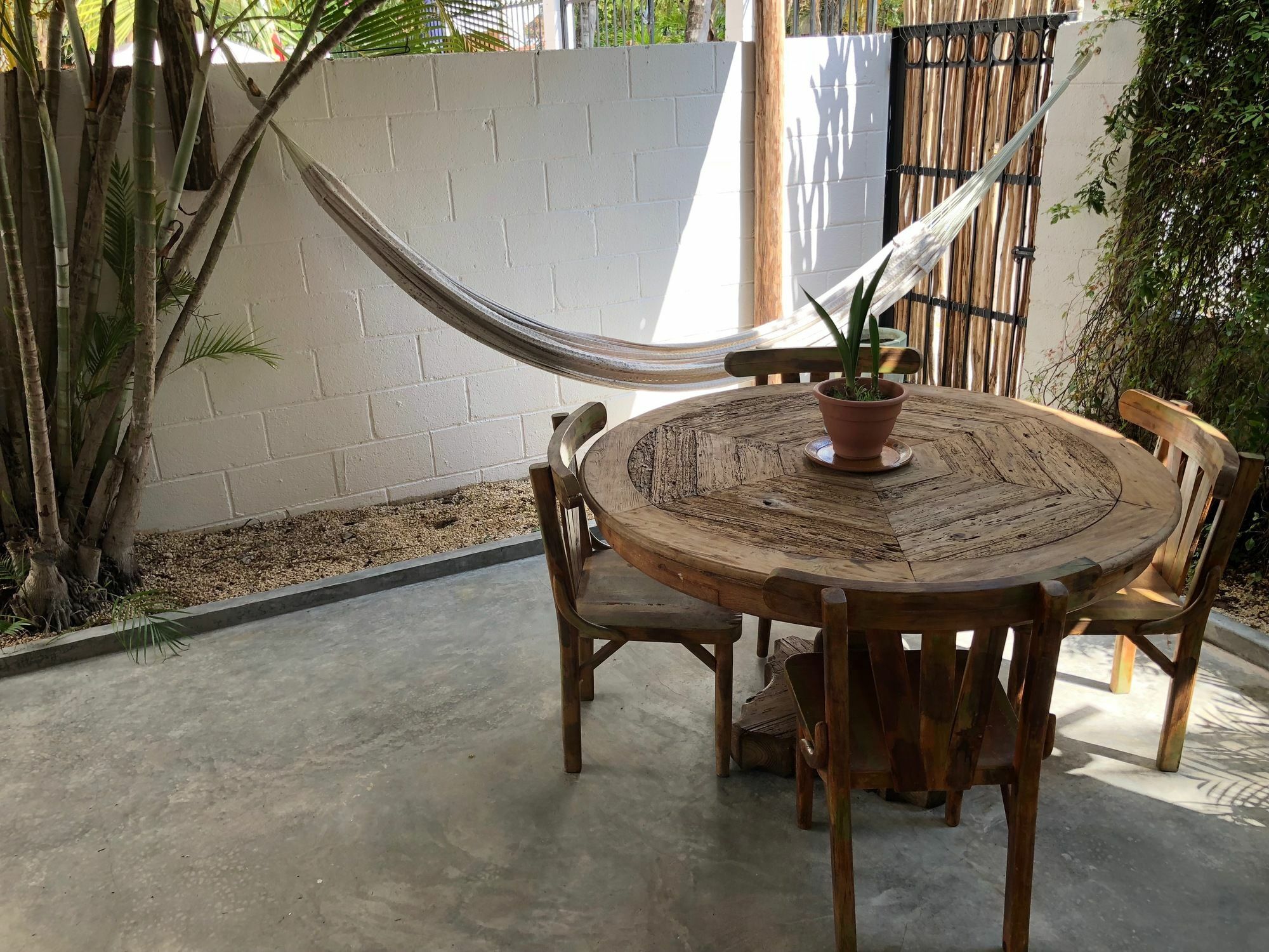 Casa La Palma B&B 신데 델 카르멘 외부 사진